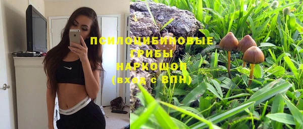 кокс Тайга