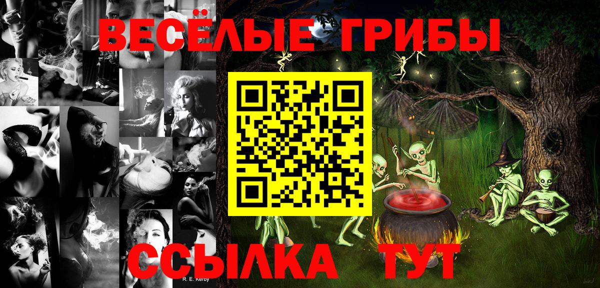 Псилоцибиновые грибы Psilocybe  Вход с VPN  Кашира 