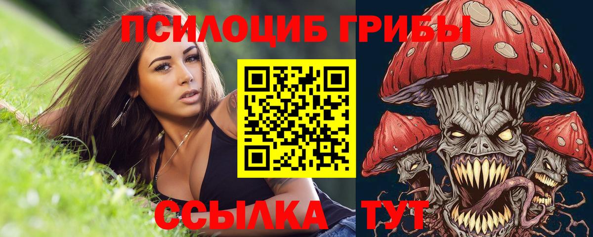Галлюциногенные грибы Psilocybine cubensis Кашира