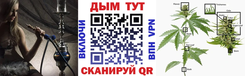 Шишки марихуана THC 21% наркотики это как зайти Кашира